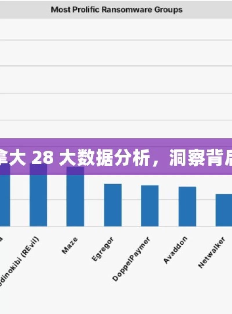 揭秘加拿大 28 大数据分析，洞察背后的奥秘