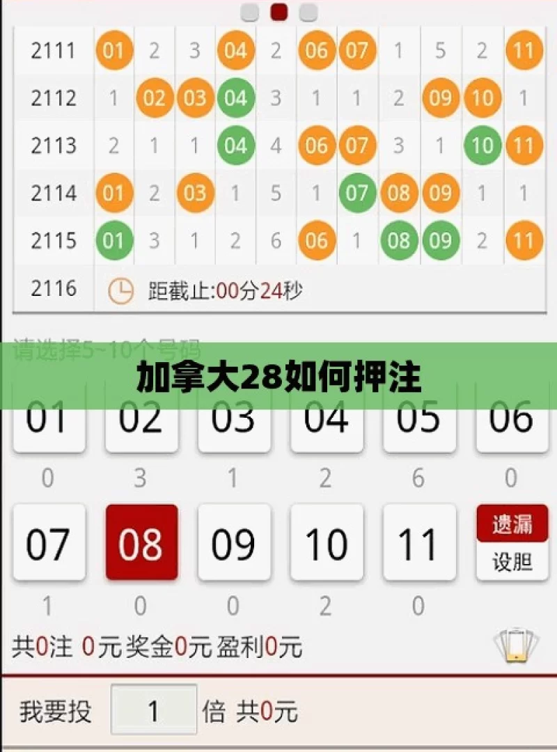 加拿大28如何押注