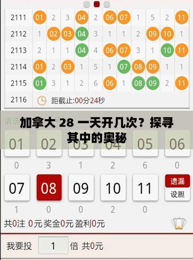 加拿大 28 一天开几次？探寻其中的奥秘