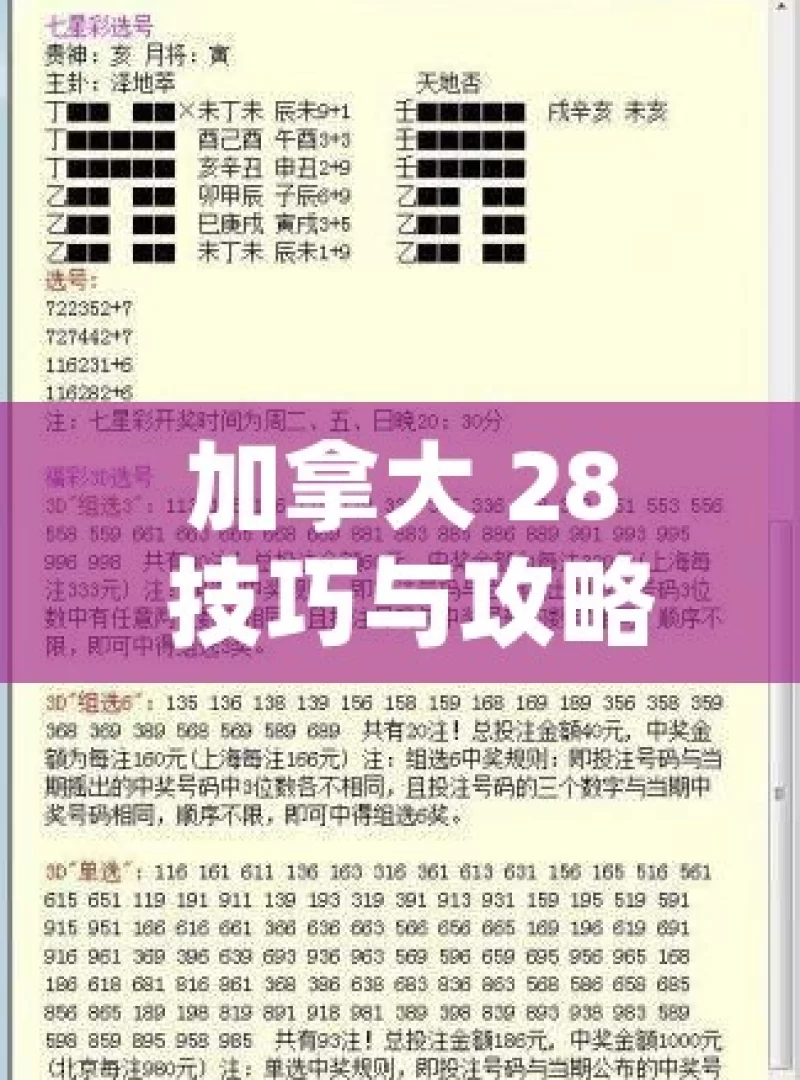 加拿大 28 技巧与攻略，如何提升获胜几率？