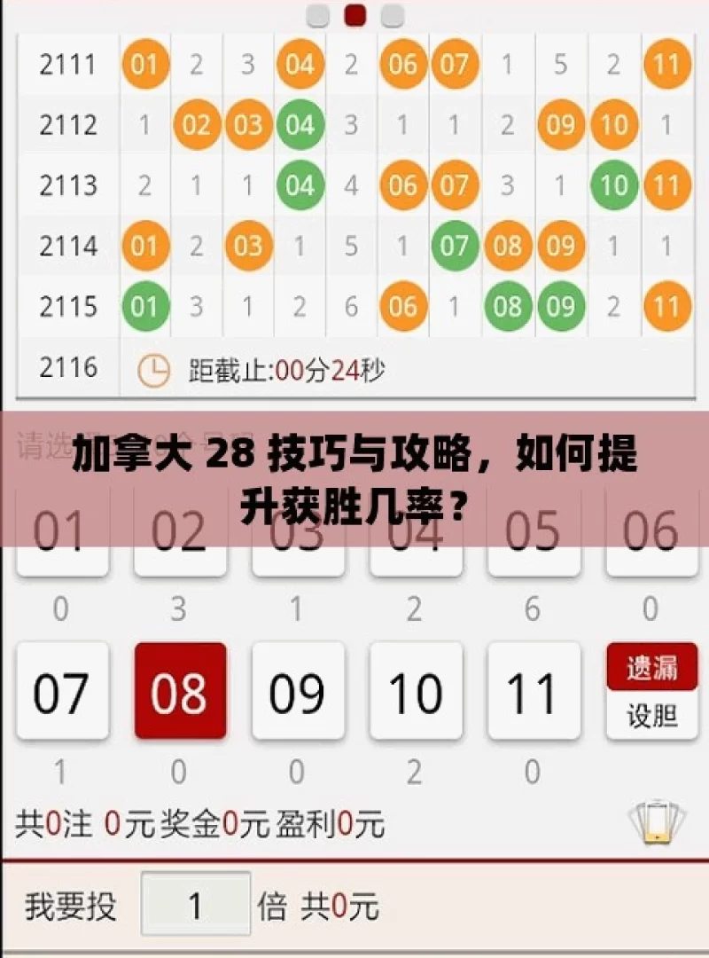 加拿大 28 技巧与攻略，如何提升获胜几率？