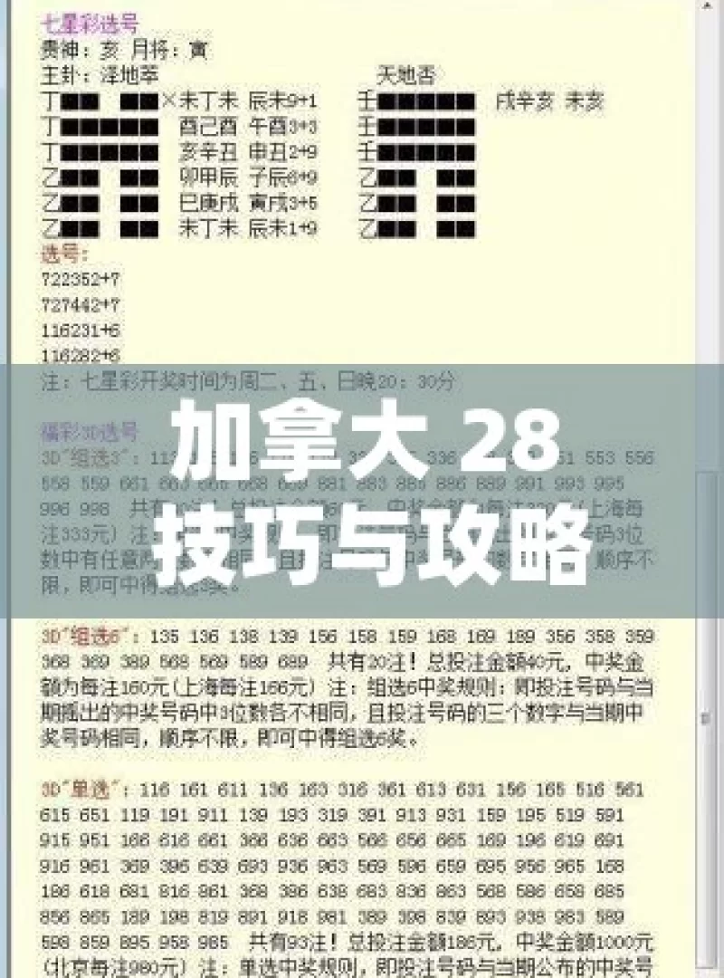 加拿大 28 技巧与攻略，如何提高获胜几率？加拿大28游戏高手秘籍，你掌握了吗？，加拿大 28 获胜技巧攻略探秘