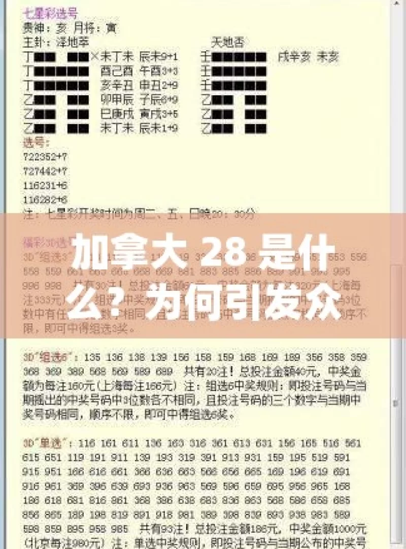 加拿大 28 是什么？为何引发众多关注？，探究加拿大 28 为何受关注