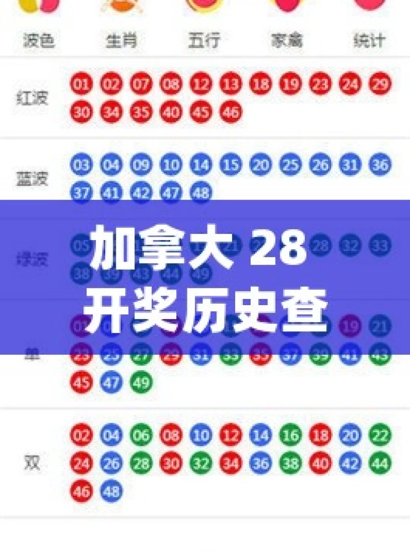 加拿大 28 开奖历史查询，如何探寻背后的规律？，探寻加拿大28开奖规律