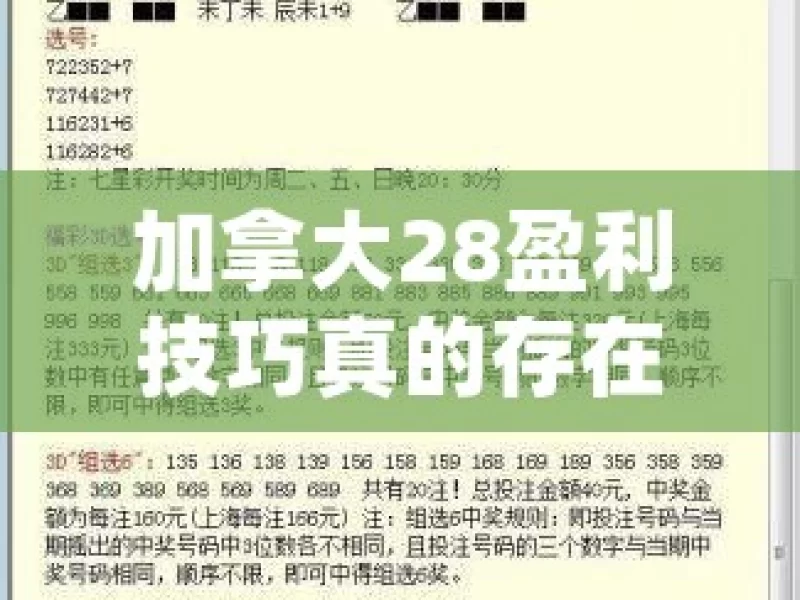 加拿大28盈利技巧真的存在吗？探寻其中奥秘加拿大28游戏，盈利秘籍大公开！，加拿大 28 盈利技巧的奥秘探寻