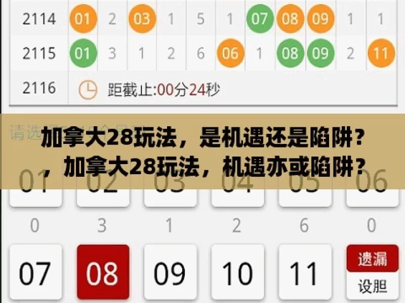 加拿大28玩法，是机遇还是陷阱？，加拿大28玩法，机遇亦或陷阱？