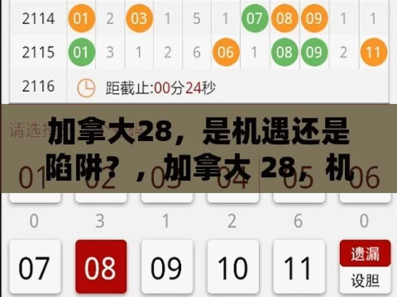 加拿大28，是机遇还是陷阱？，加拿大 28，机遇亦或陷阱？