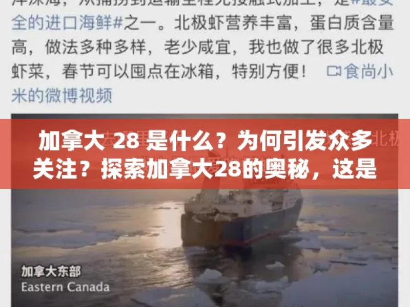 加拿大 28 是什么？为何引发众多关注？探索加拿大28的奥秘，这是一场怎样的数字游戏？，探索引发众多关注的加拿大 28