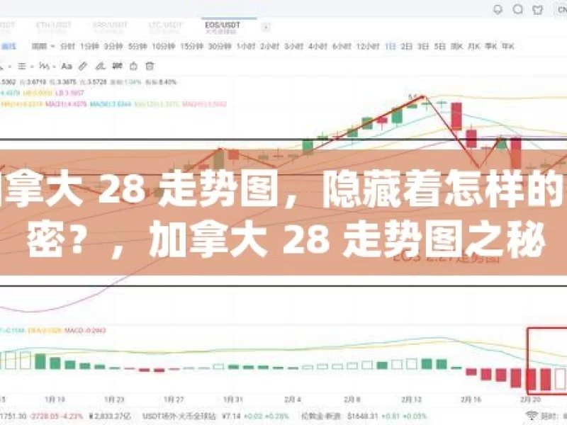 加拿大 28 走势图，隐藏着怎样的秘密？，加拿大 28 走势图之秘