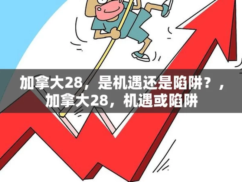 加拿大28，是机遇还是陷阱？，加拿大28，机遇或陷阱