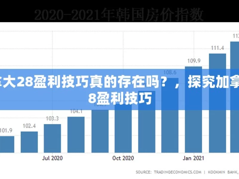 加拿大28盈利技巧真的存在吗？，探究加拿大28盈利技巧