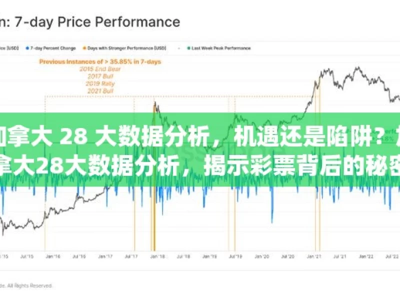 加拿大 28 大数据分析，机遇还是陷阱？加拿大28大数据分析，揭示彩票背后的秘密？，加拿大 28 大数据，机遇与陷阱之辩