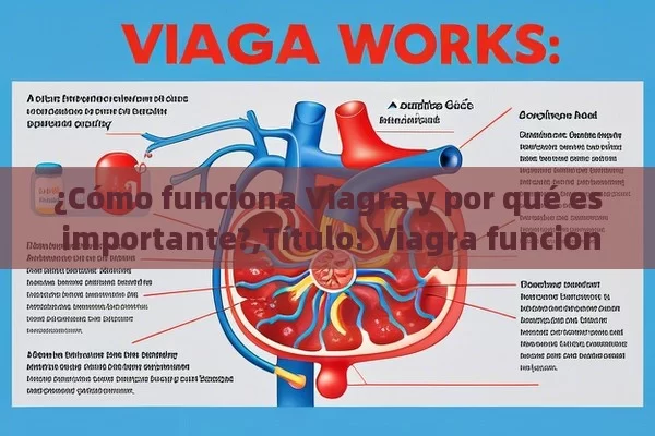 ¿Cómo funciona Viagra y por qué es importante?, Viagra funciona: Una guía completa