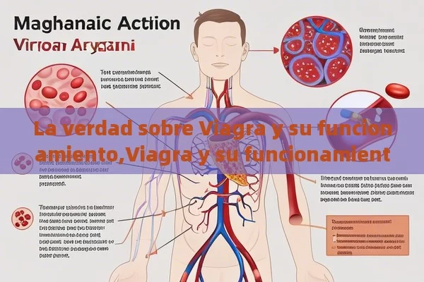 La verdad sobre Viagra y su funcionamiento,Viagra y su funcionamiento - Viagra:Efectos y Comparativas