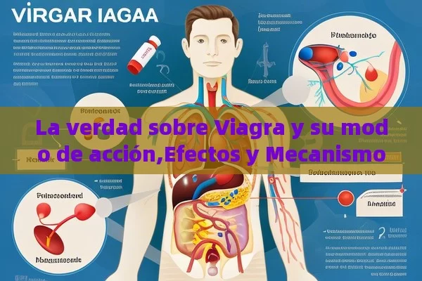 La verdad sobre Viagra y su modo de acción,Efectos y Mecanismos de Acción del Viagra - Viagra:Efectos y Comparativas