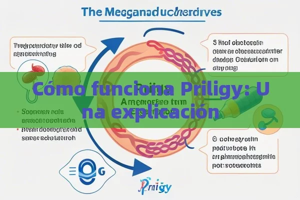 Cómo funciona Priligy: Una explicación