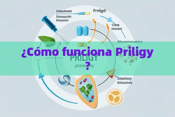 ¿Cómo funciona Priligy?