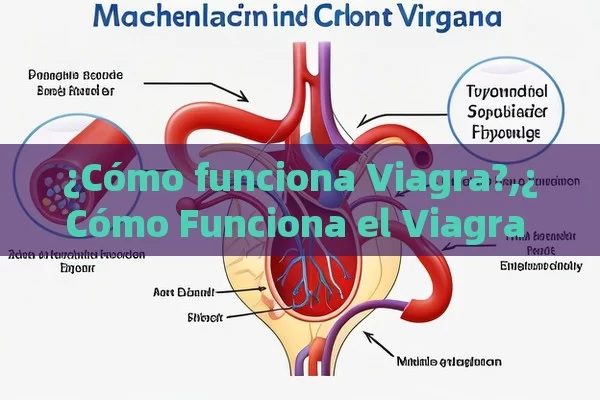 ¿Cómo funciona Viagra?,¿Cómo Funciona el Viagra y Por Qué es Relevante en la Salud Sexual Masculina? - Viagra:Efectos y Comparativas