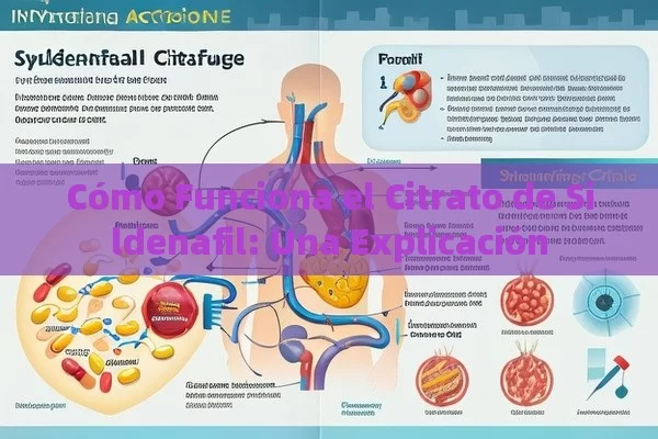 Cómo Funciona el Citrato de Sildenafil: Una Explicación