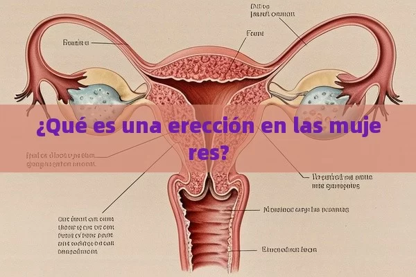 ¿Qué es una erección en las mujeres?