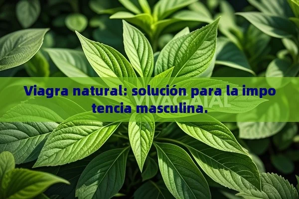 Viagra natural: solución para la impotencia masculina.