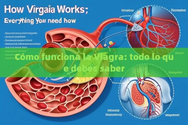 ¿Puede un hombre de 72 a ñ os tomar Viagra? Descubre los beneficios, riesgos y recomendaciones m é dicas - Viagra:Efectos y Comparativas