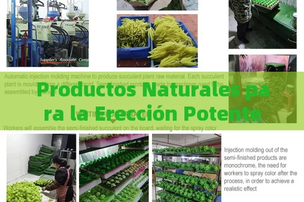 Productos Naturales para la Erección Potente