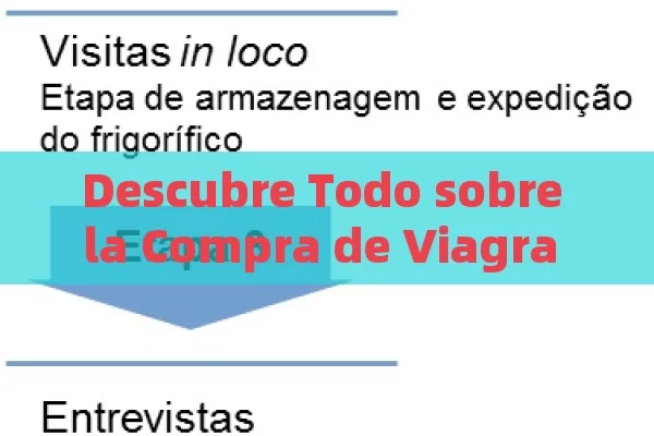 Descubre Todo sobre la Compra de Viagra en Amazon: Seguridad, Legalidad y Alternativas - Viagra:Efectos y Comparativas